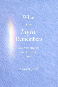 What the Light Remembers