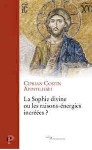 La Sophie divine ou les raisons-énergies incréées ?