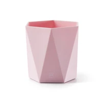 Pot a crayon rose