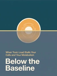 Below the Baseline — When Toxic Load Stalls Your Cells and Your Metabolism