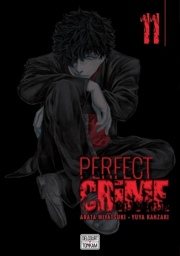 Perfect crime T11