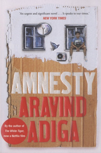 Aravind Adiga - Amnesty.