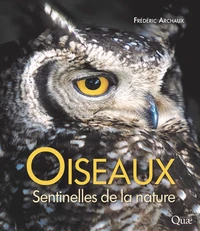Oiseaux