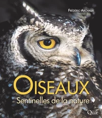 Oiseaux