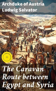 The Caravan Route between Egypt and Syria