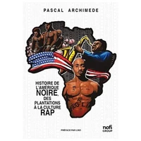 Histoire de l’amerique noire, des plantations a la culture rap
