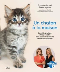 Un chaton à la maison