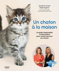 Un chaton à la maison