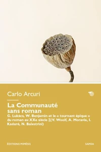 La communauté sans roman