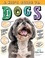 A Kid's Guide to Dogs. How to Train, Care for, and Play and Communicate with Your Amazing Pet!