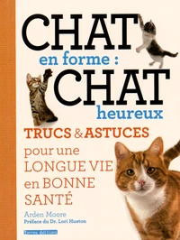 Chat en forme : chat heureux