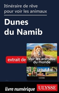 Ariane Arpin-Delorme - Itinéraire de rêve pour voir les animaux - Dunes du Namib.