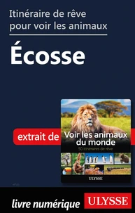 Itinéraire de rêve pour voir les animaux - Ecosse