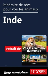Itinéraire de rêve pour voir les animaux - Inde
