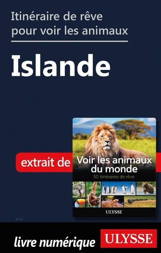 Itinéraire de rêve pour voir les animaux - Islande