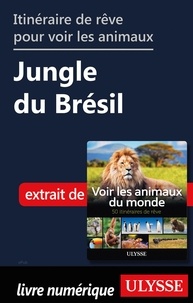 Ariane Arpin-Delorme - Itinéraire de rêve pour voir les animaux - Jungle du Brésil.
