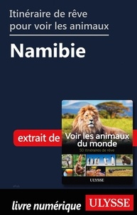 Ariane Arpin-Delorme - Itinéraire de rêve pour voir les animaux - Namibie.