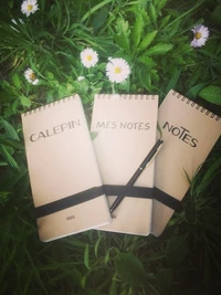 Mes notes kraft