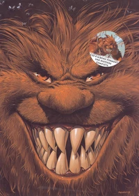 Coffret millésimé 2005