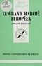 Armand Bizaguet - Le grand marché européen.