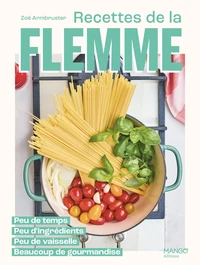 Recettes de la flemme