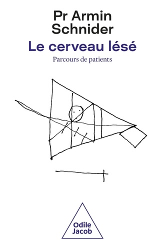 Le cerveau lésé. Le parcours du patient