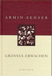 Armin Senser - Grosses Erwachen.