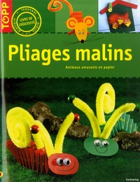 Armin Täubner - Pliages malins.