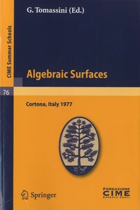 Algebraic Surfaces
