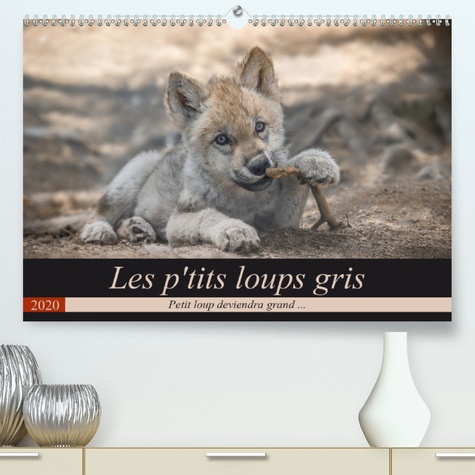 CALVENDO Animaux  Les p'tits loups gris(Premium, hochwertiger DIN A2 Wandkalender 2020, Kunstdruck in Hochglanz). Petit loup deviendra grand ... (Calendrier mensuel, 14 Pages )