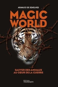 Arnaud de Senilhes - Magic world.