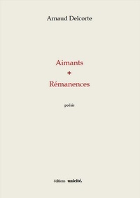 Arnaud Delcorte - Aimants + rémanences.