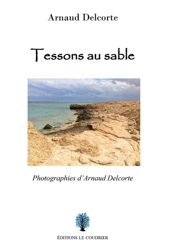 Arnaud Delcorte - Tessons au sable.