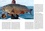 Guide des poissons de pêche sportive. 350 poissons marins et d'eau douce du monde entier