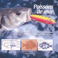 Arnaud Filleul - Poissons De Mer. Guide Scientifique A L'Usage Des Pecheurs De France Et D'Ailleurs.