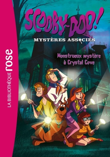 Arnaud Huber - Scooby-Doo ! Mystères associés  : Monstrueux mystère à Crystal Cove.