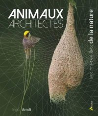 Animaux architectes