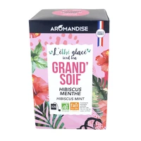 L'éthé glacé grand soif' - thé glacé hibiscus menthe