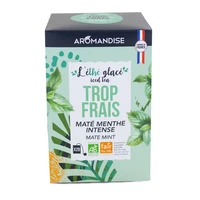 L'éthé glacé trop frais - thé glacé maté menthe