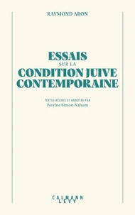 Essai sur la condition juive contemporaine