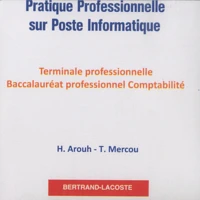 Pratique professionnelle sur poste informatique Tle Bac pro comptabilité