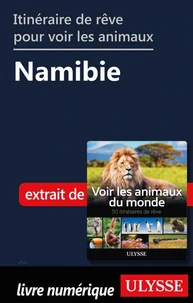 Itinéraire de rêve pour voir les animaux - Namibie