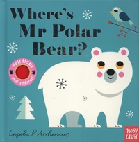 Where's Mr Polar Bear?