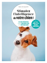 Stimulez l'intelligence de votre chien !