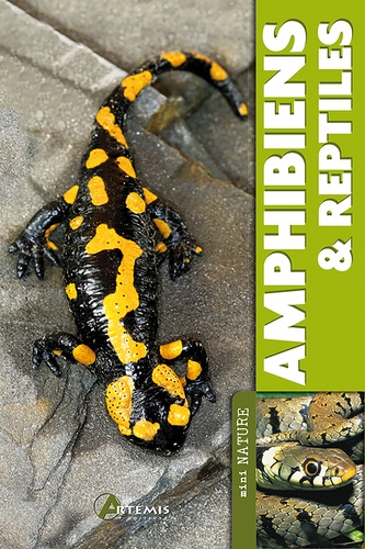  Artémis - Amphibiens et reptiles.