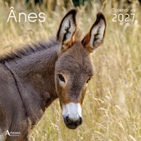 Anes