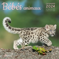  Artémis - Bébés animaux - Calendrier de septembre 2023 à décembre 2024.