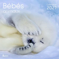 Bébés animaux