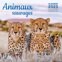  Artémis - Calendrier Animaux sauvages.