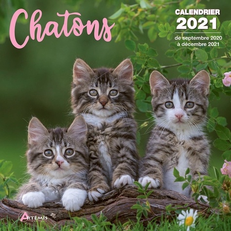  Artémis - Calendrier Chatons.